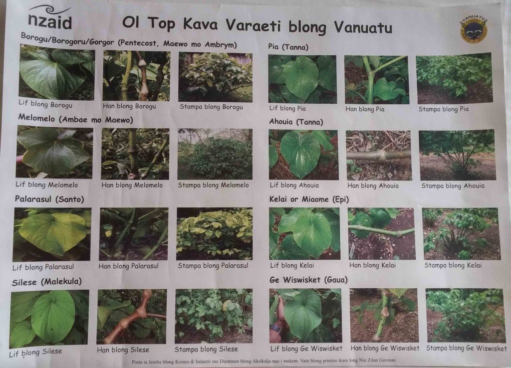 Vanuatu poster identifying the different varieties of kava root