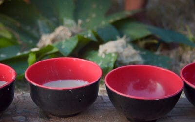 Trying Kava for the First Time? Here’s What to Expect