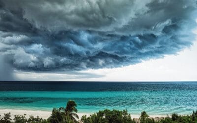 Cyclones Zazu and Yasa