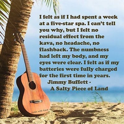 Jimmy Buffet Quote on beach image with guitar leaning on palm tree