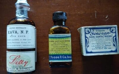 The History of Kava in the US