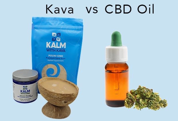 Kava root products and a shell of kava alongside a tincture bottle of CBD Oil