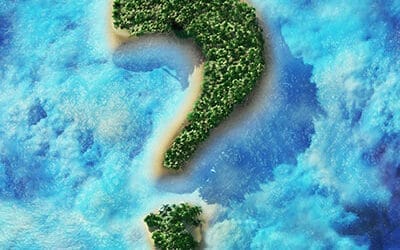 Kava Time: 10 Fun Facts About Kava