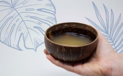 The Bilo Story: Coconut Cups for Kava