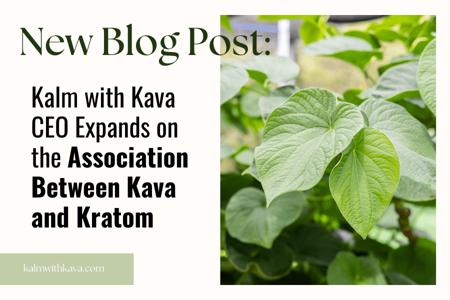 Kalm with Kava CEO Expands on the Association between Kava and Kratom