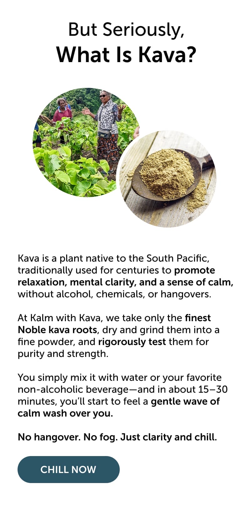 But Seriously What Is Kava?